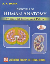 Essentials of human anatomy : Thorax & Abdomen - Volume 1